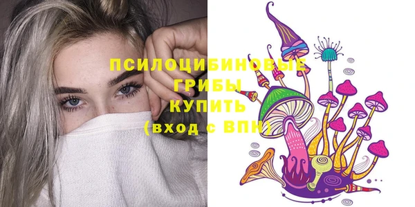 гидра Алексеевка